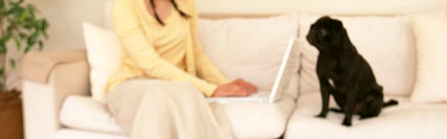 WEB化された給与明細は便利